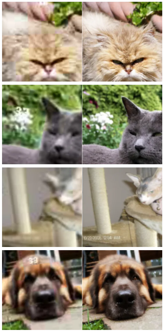 Four pairs of deliberately degraded pet photographs on the left and their clean originals on the right