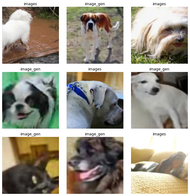 A three-by-three batch of pet photographs labelled as original images or generated images for critic pre-training