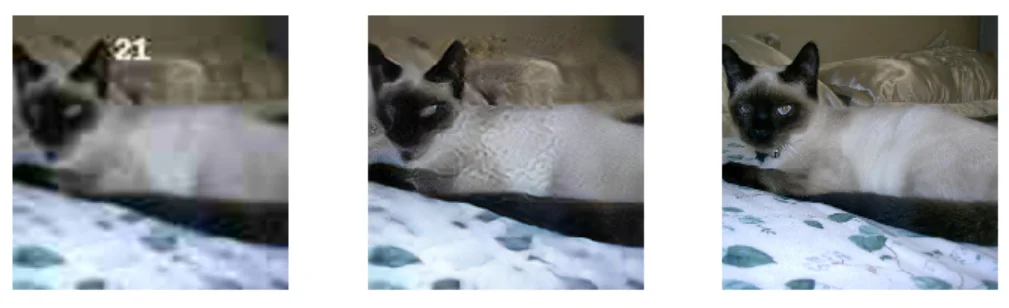 A degraded Siamese cat photograph with the number 21, the GAN-restored prediction, and the clean target image