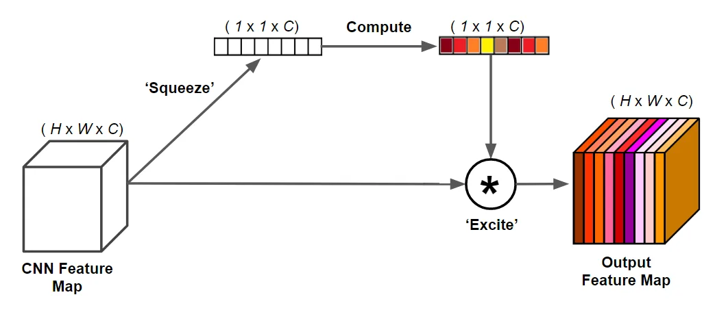 A squeeze-and-excitation block using global average pooling, two fully connected layers, and channel-wise scaling